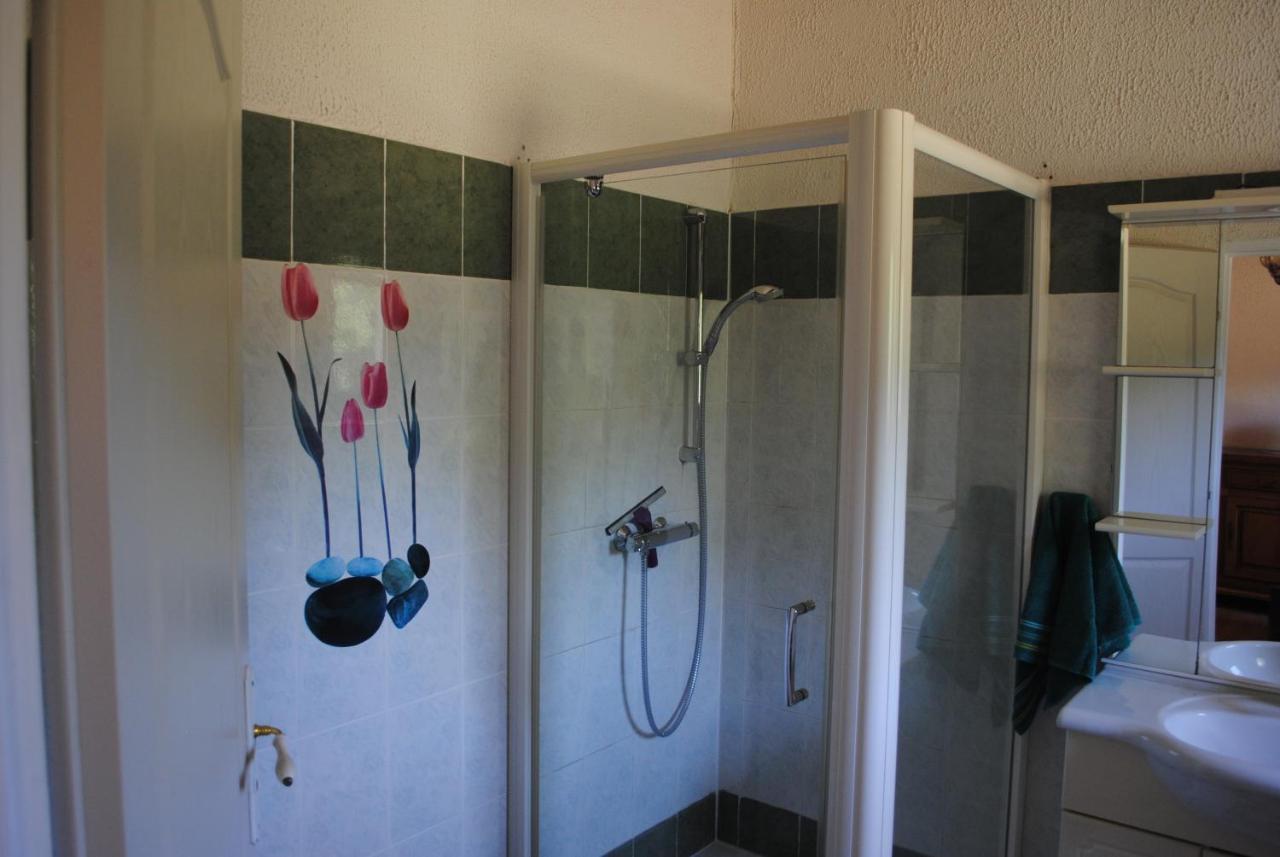 Chez Yvette , C'Est Chouette!! Bed and Breakfast Carcasona Exterior foto