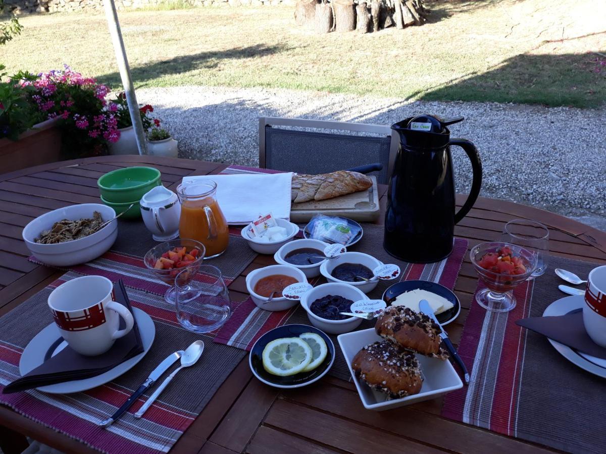Chez Yvette , C'Est Chouette!! Bed and Breakfast Carcasona Exterior foto